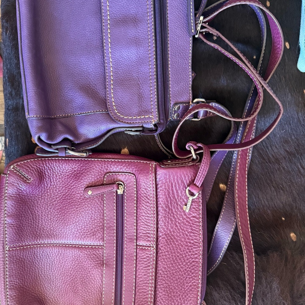 Fossil Plum and Magenta Leather Crossbody Duo